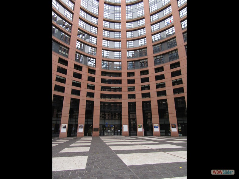53 European Parliament